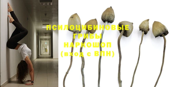 дурь Абдулино