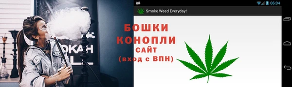 PSILOCYBIN Абинск