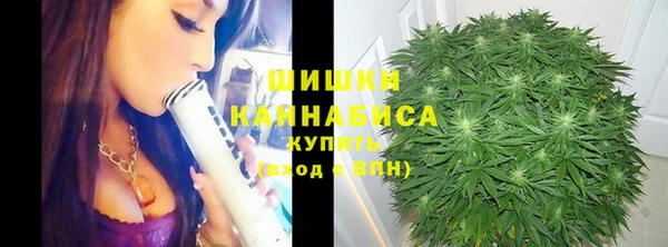 PSILOCYBIN Абинск