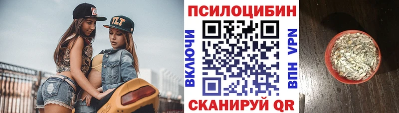 Галлюциногенные грибы Cubensis  Агидель 