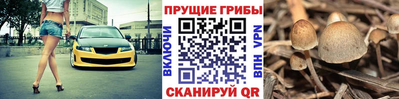 Галлюциногенные грибы MAGIC MUSHROOMS Агидель